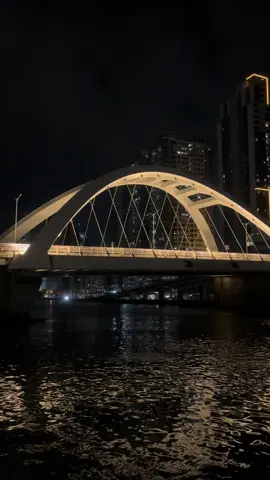 Binondo Bridge at night ✨ #fypage #foryou #foryoupage #citylights #manila 