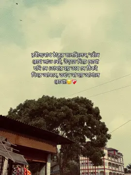 #foryou #foryoupage #sifat_7m #lyrics #video @TikTok Bangladesh 