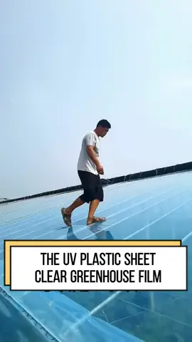 Clear Greenhouse Film #greenhouse #sell #film