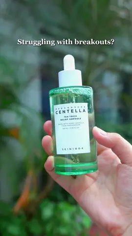 Calm & clarify your skin with SKIN1004 Tea-Trica Relief Ampoule! 🍃✨ Soothe breakouts, control oil, and strengthen your skin barrier. #SKIN1004 #TeaTrica #ClearSkin