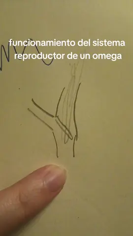 vídeo educacional, si tienen dudas me avisan #bl #manhwa #ov #omegaverse #omegaversetiktok #yaoi #blmanga #blmanhwa #fyp 