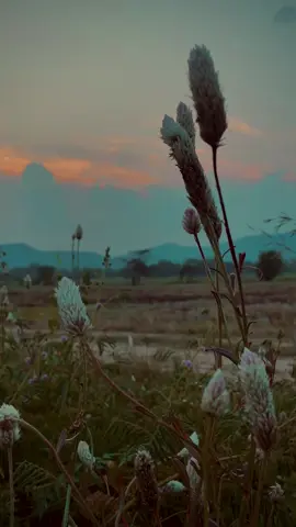 🤍🥺 #fyppppppppppppppppppppppp #foryoupage #fyp #foryou #evening #viraltiktok #cloud #sun #sunset #sky #backgroundvideo #onebillionaudition #onemillionaudition #clouds_454 #tiktok🇱🇰srilanka 