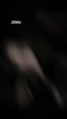 #CapCut 