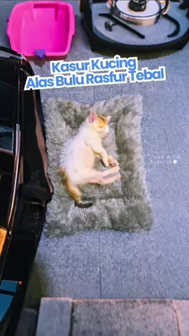 Kasur Kucing Alas Buku Rasfur Tebal #kasurkucing #kasurkucingbesar #kasurkucingmurah #kasurkucingaesthetic #kasurkucingjumbo #kasurkucingbulu #bantalkucing #kasurkucingmurah 