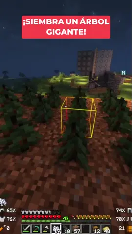 Descubre el secreto para hacer crecer árboles grandes en Minecraft. Aprende cómo sembrarlos correctamente y los trucos para mantenerlos sanos. ¡No te lo pierdas!#Minecraft #Gaming #TutorialMinecraft #Arboles #Mods