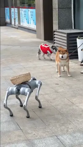 When real-life pup meets its high-tech twin!