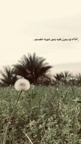 #عباراتكم💔💔؟ #تصوير_سينمائي🎥  #اشعار_حزن_شوق_عتاب_حب 