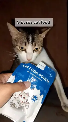 9 pesos cat food #catfood #catweetfood #foodforcats #wetcatfood #fyp 