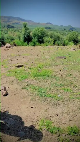 #fypシ゚viral #PMS 