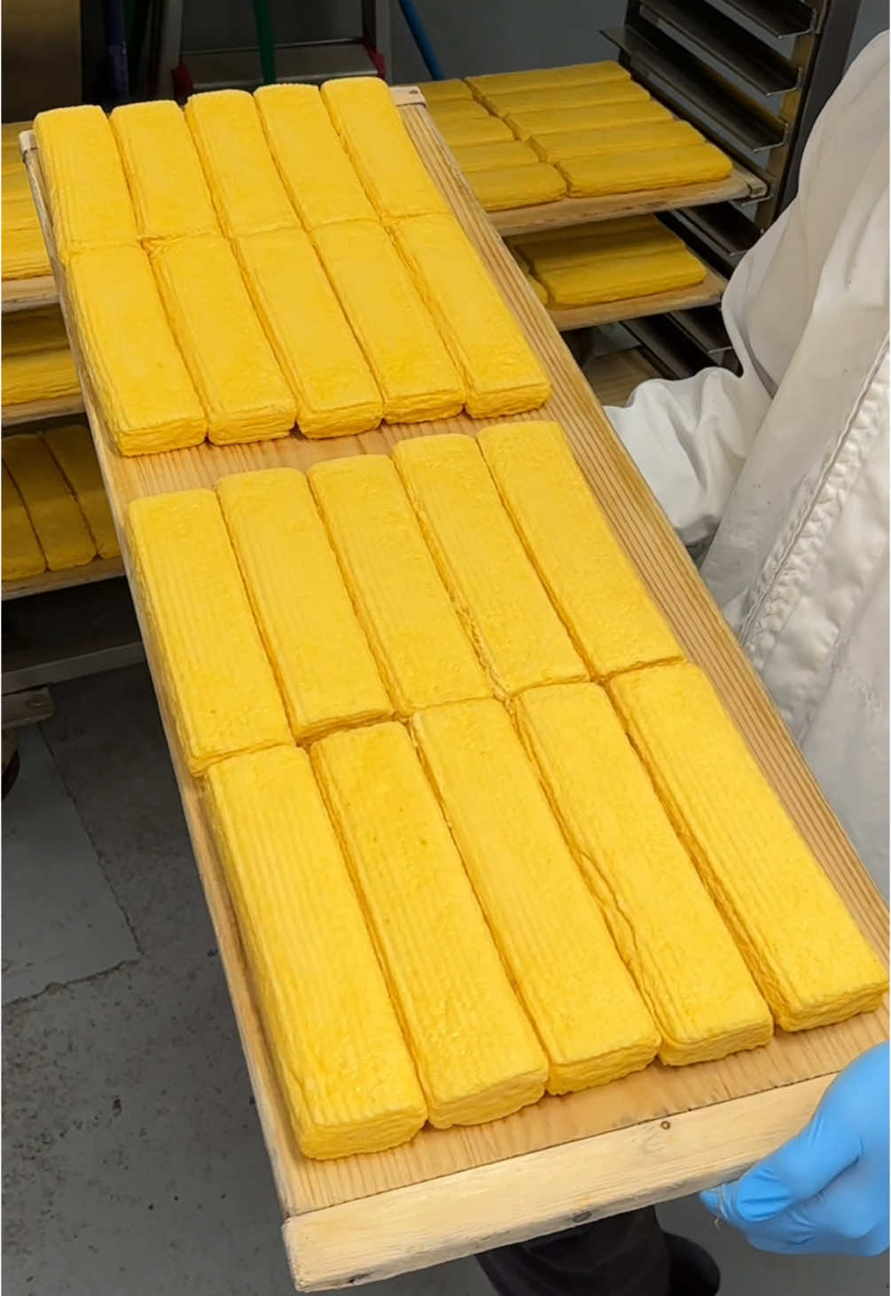 創業70年以上のぷるっぷるだし巻きサンド ◎ 厚焼きたまごサンド 850円 【店舗名】ふるもと珈琲店 【住所】兵庫県神戸市中央区多聞通４丁目４−１１ 【アクセス】高速神戸駅から徒歩1分 【営業時間】8:30-18:30 【定休日】日曜日 【予算】¥1,000-¥2,000 ↓創業70年以上のだし巻き専門店 【店舗名】（株）山田製玉部 神戸本社 【住所】 兵庫県神戸市中央区多聞通４丁目４−１３ #兵庫グルメ #神戸グルメ #japanesefood #tiktokfood 