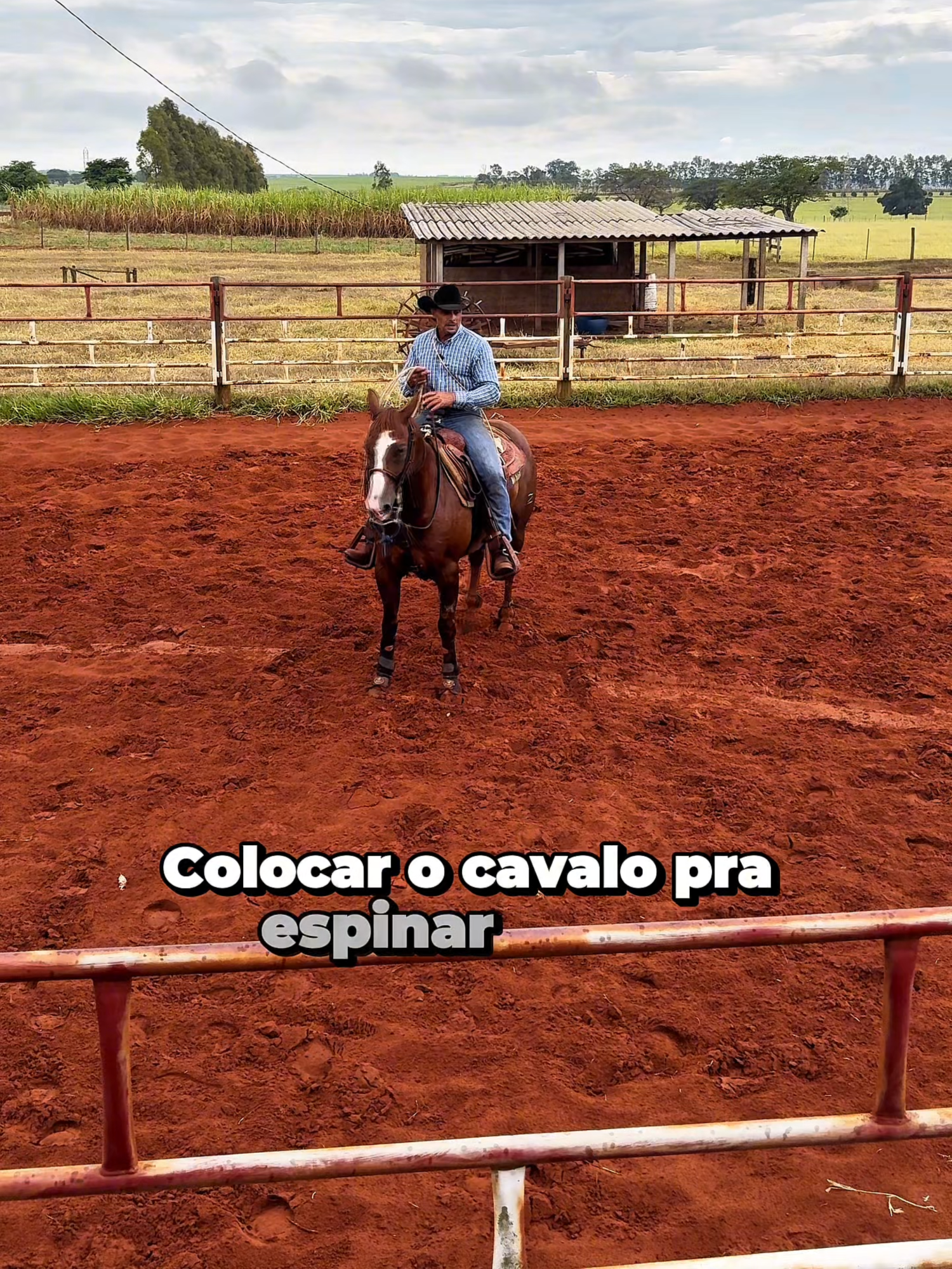 Um bom Spin vem de técnica, equilíbrio e treino! 🏇 O cavalo precisa estar leve, bem condicionado e em sintonia com o cavaleiro. Quer ver na prática como melhorar? Assiste o vídeo! 🎥 #Dica #ArturZoião #Cavalo #Laçador #Roping #Horse #breakaway #centrodetreinamento #country #tambor #Lifestyle #4youpg #4yourpage #4youpage #4you #4y