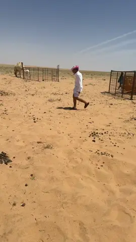 جاريث بيل وقف تكفى 💔 #اكسبلور #ترندات_تيك_توك 