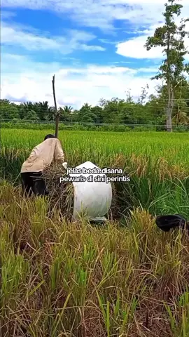 jelas beda disana pewaris disini perintis#fypage #beranda 