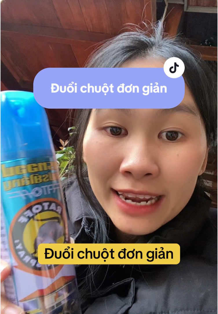 Xịt chuột thái Lan.giải pháp cho nhà nhiều chuột #nhatle #xitchuot #xitchuotthailan #duoichuot #duoichuototo 