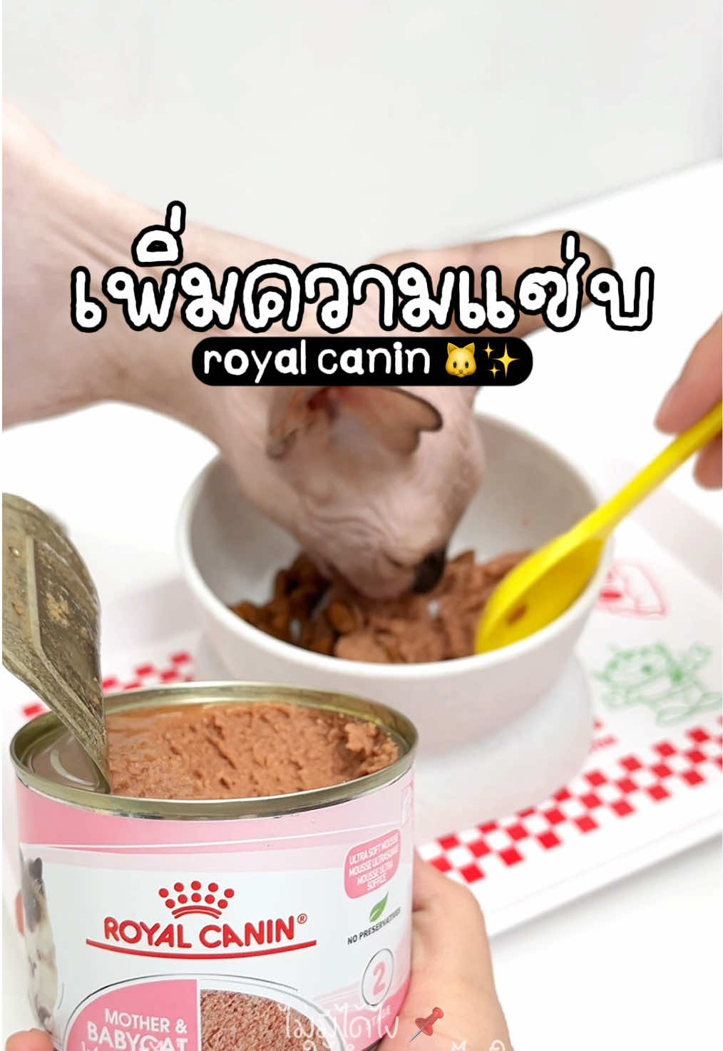 แซ่บม้ากกก 🐱🤪 #อาหารเปียกแมว #อาหารเปียก #รอยัลคานิน #royalcanin #เปียกแมว #อาหารแมว #สวนสัตว์tiktok #คนรักแมว #ทาสแมวก็งี้เเหละ #แมว 