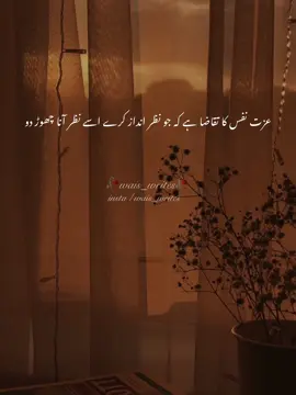 میری طرف سے تو بہت ہوگیا چلے اب آپ  کچھ دل کی باتیں، کچھ لفظ کچھ، کچھ خیالات کچھ کیپشن شئر کردے آج 💝🥀 . ۔ ۔ ۔ ۔ #wais_writes #fypシ #fyp #fyppppppppppppppppppppppp #fyppppppppppppppppppppppp #fyppppppppppppppppppppppp 