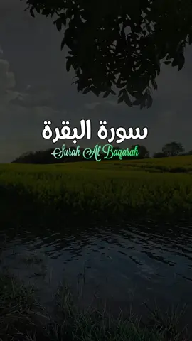 Murottal Al Qur'an suara merdu menyentuh hati, Surah Al Baqarah ayat 185, bacaan Al Qur'an perempuan suara merdu #alquran #murottal #murottalquran #murottalmerdu #surahalbaqarah #quranrecitation #quran #alqurandanterjemahan 