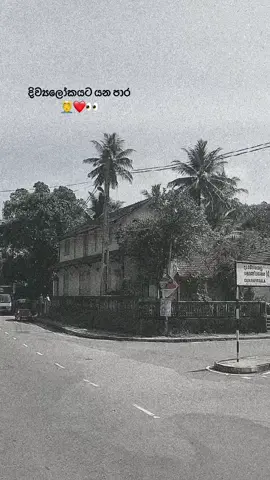 දැරනියගල අපි ❤️👉👈 14km #everyone #viral  #daraniyagala