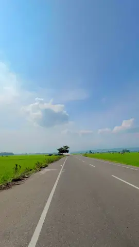 Tidak banyak yang bisa ku ceritakan, aku hanya bisa melamun ketika pikiran ku mulai lelah.