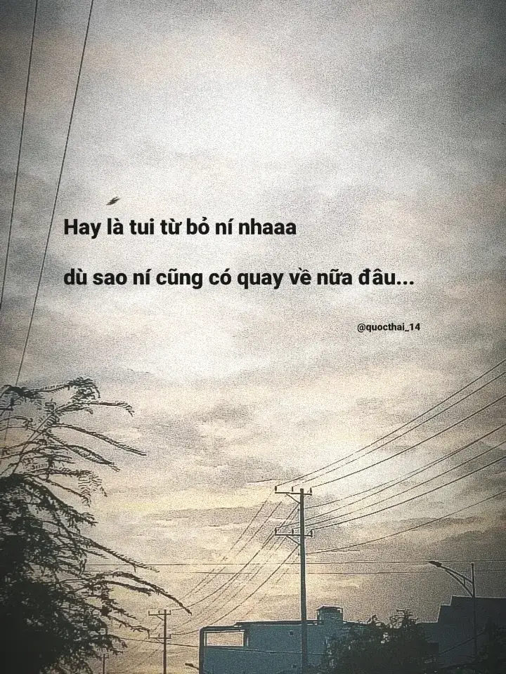 #xuhuongtiktokkk #fypシ #qoucthais_04 