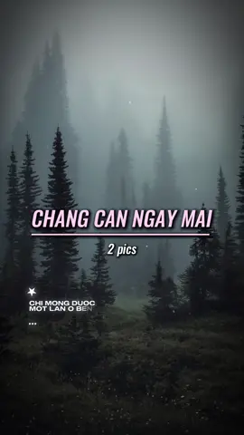 #CapCut chỉ là ngọn cỏ ven đường.. #staronline #trunggiu #changcanngaymai #maucapcut #nhachaymoingay #rec06 