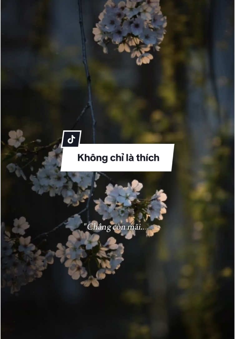 Vì thanh xuân của em chẳng còn mãi...v #CapCut #khongchilathich #nhactamtrang #nhachaymoingay #thoocam 