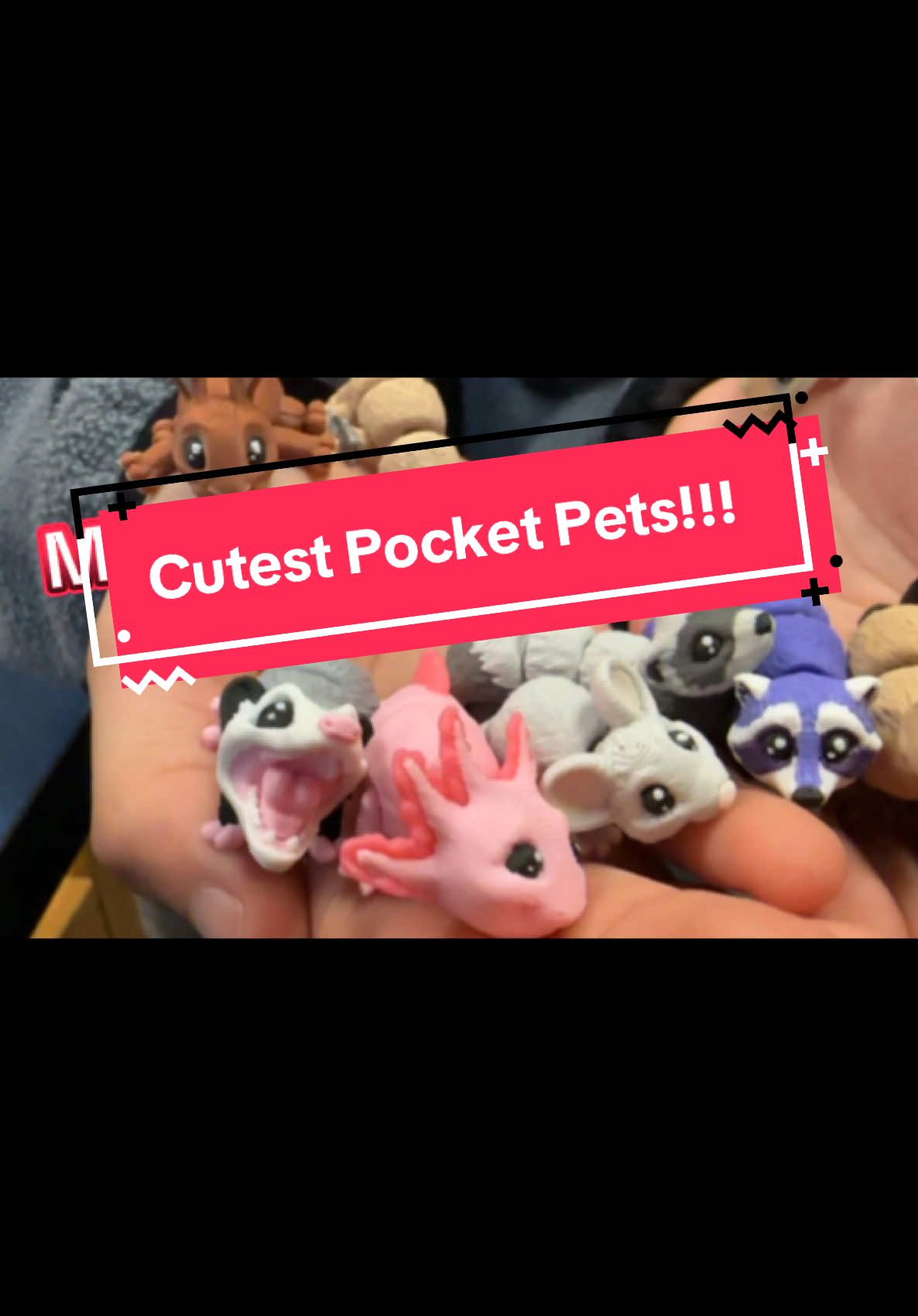 The most adorable pocket pets!! #deskpets #tiny #tinyanimals #pocketpets #animals #3dprinting ##fidgettoys #fidgets #easter #giftideas #gift #play #toys #animallover #possum #axolotl #cutevideo #teacher 