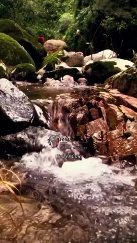 Te Perdone - Jorge Celedón & Jimmy Zambrano  #vallenato #letras #musica #jorgeceledon #vallenatos_mv #songs #Love #lyrics #like #pyfツ #viral #paratiiiiiiiiiiiiiiiiiiiiiiiiiiiiiii 