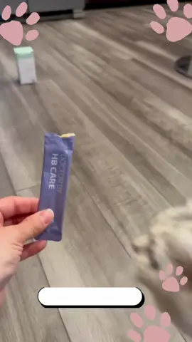 ✨Your cat won’t just eat it—they’ll beg for it!✨Say goodbye to hairballs with DoctorBy HB Care! ✨ 😻Hairball care your cat actually loves! Tasty, effective, and stress-free.  Link 🔗  https://amzn.to/4g0UK9s #hairballcontrol #hairballcare #hairballcarefood #happycat #catlovers #catowners #nomorehairballs #Dr+By #catvideoofthedayc #happycathappylife #furriends #hairballcontrol #catthreats 