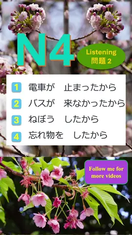 N4 listening practice #japanese #日本語 #jplt #fyp #japaneseselfstudywithme #CapCut 