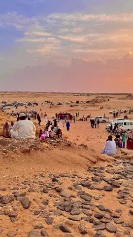 #شمالنا_الحبيب🌴💚 #الشمالية_محس_ودناقله_شوايقة_حلفا #شوايقه_والبلد_رايقه 