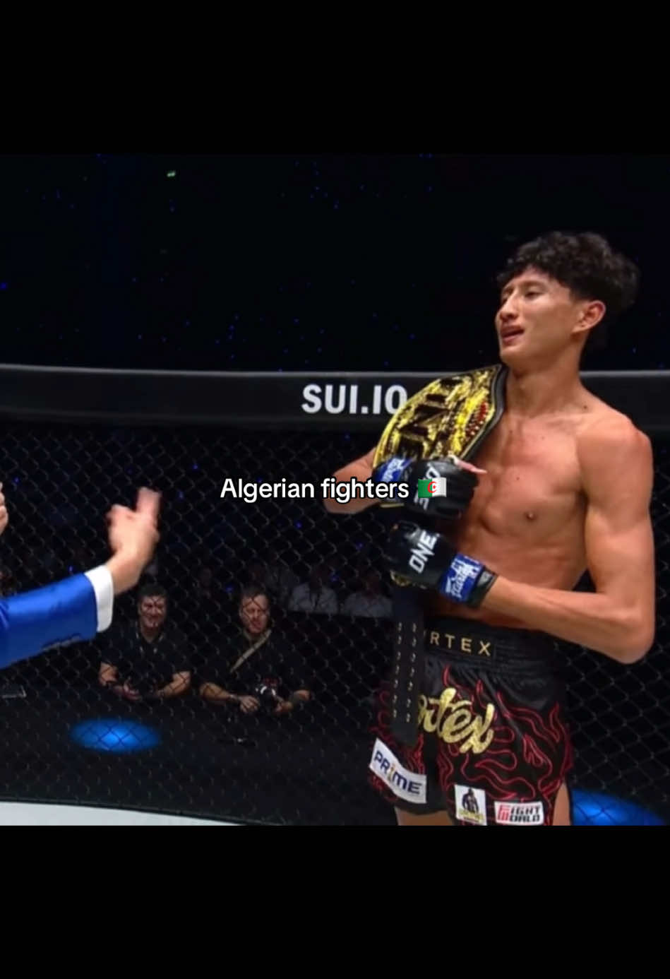 Fighters 🇩🇿 #mmafighter #UFC #onechampionship #algeria #kabyle #fyp #foryou #foryoupage #viral 