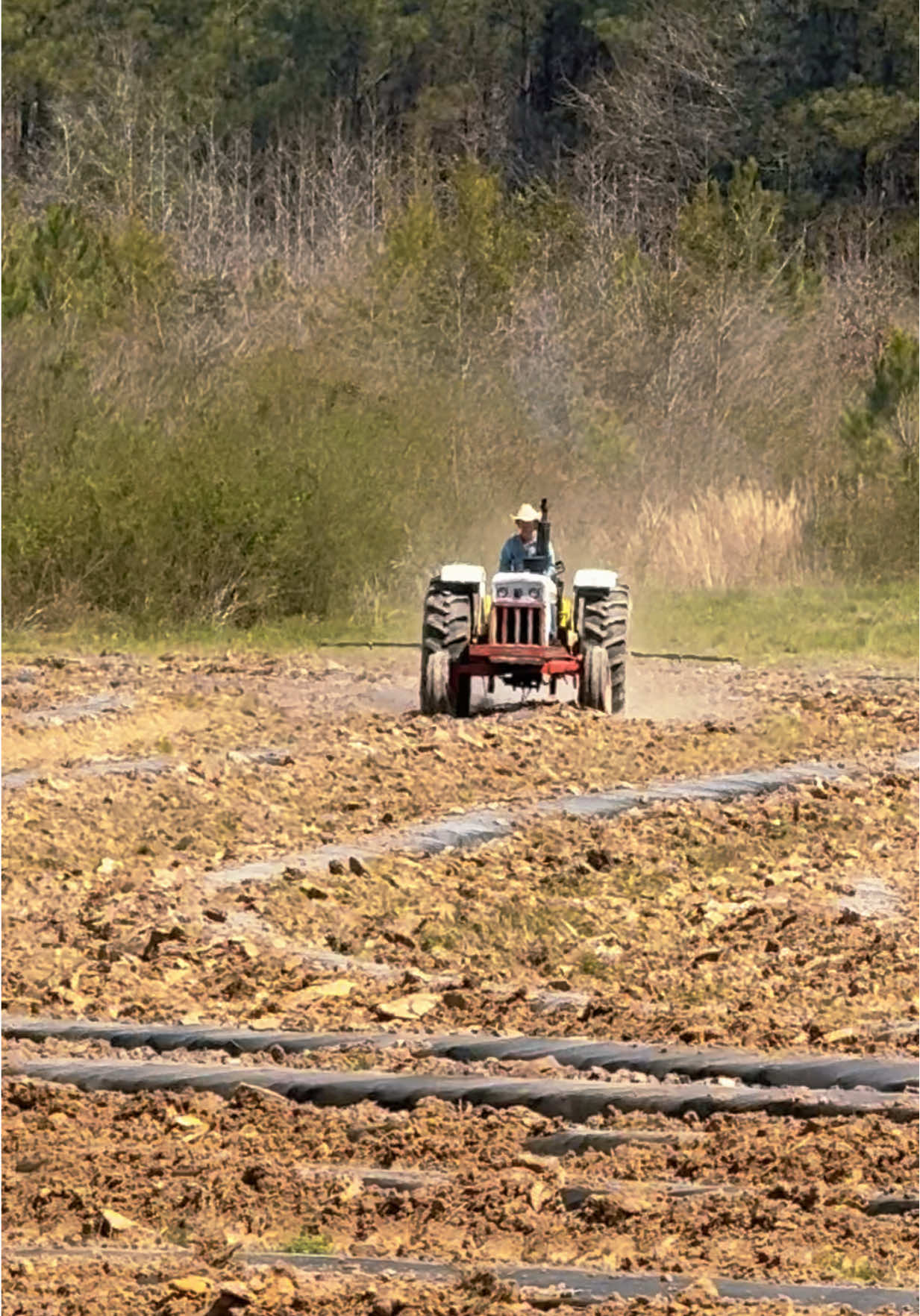 Tractors, tractors, tractors 🚜 #fyp #foryoupage #foryou #viral #blowthisup #garnerfarms #Lifestyle #farmer #agriculture #family #garnerboys #farmlife #farmtok #farm #farming #tractor 
