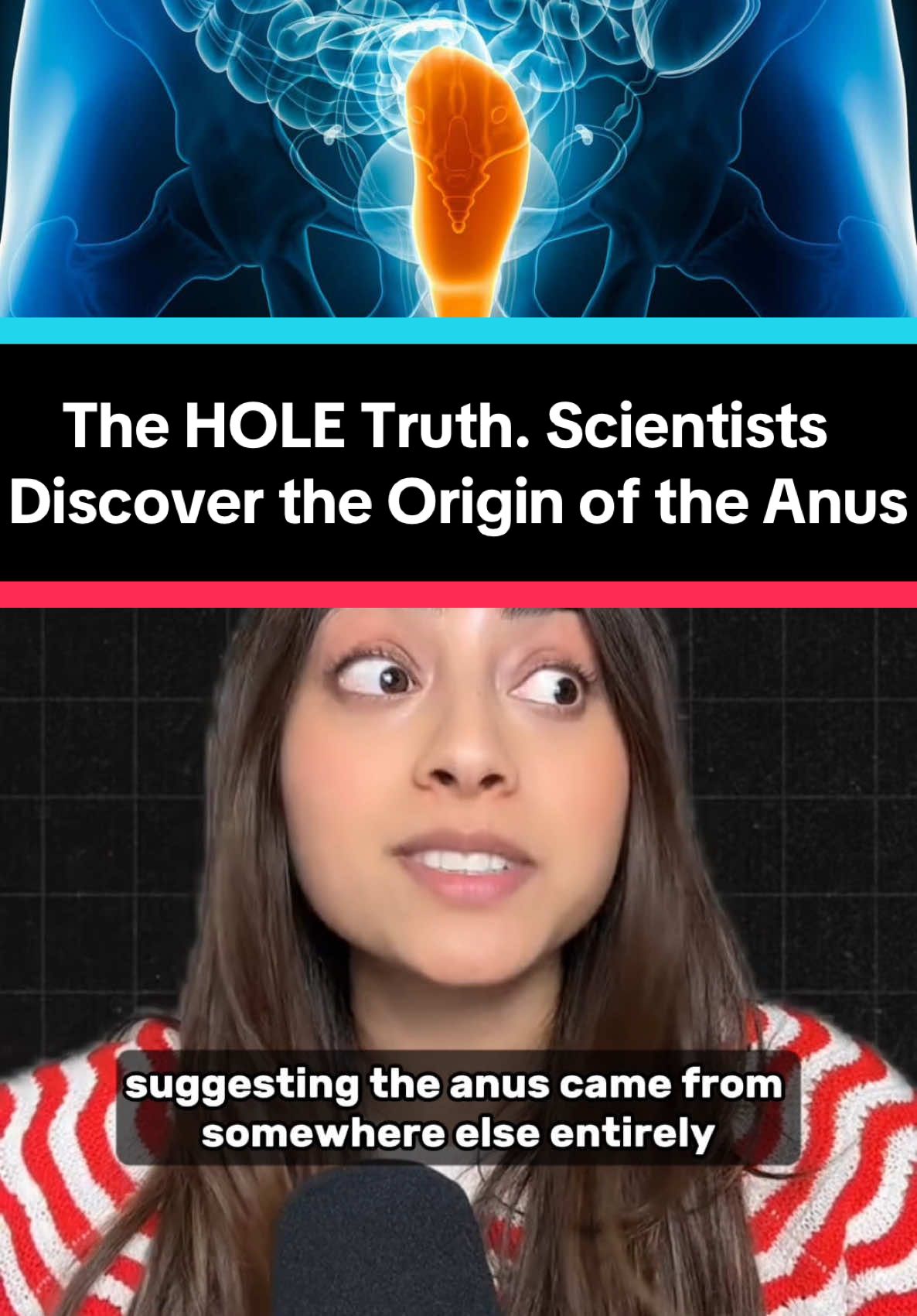 This is taking the HOLE truth to a different level 😬 Scientists think they’ve discovered the origin of the anus 🍑 and it is NOT what you think #anatomy #Science #EduTok #evolution 