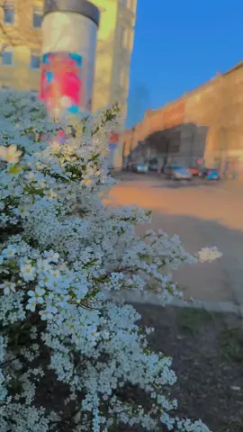 اللهم امين 