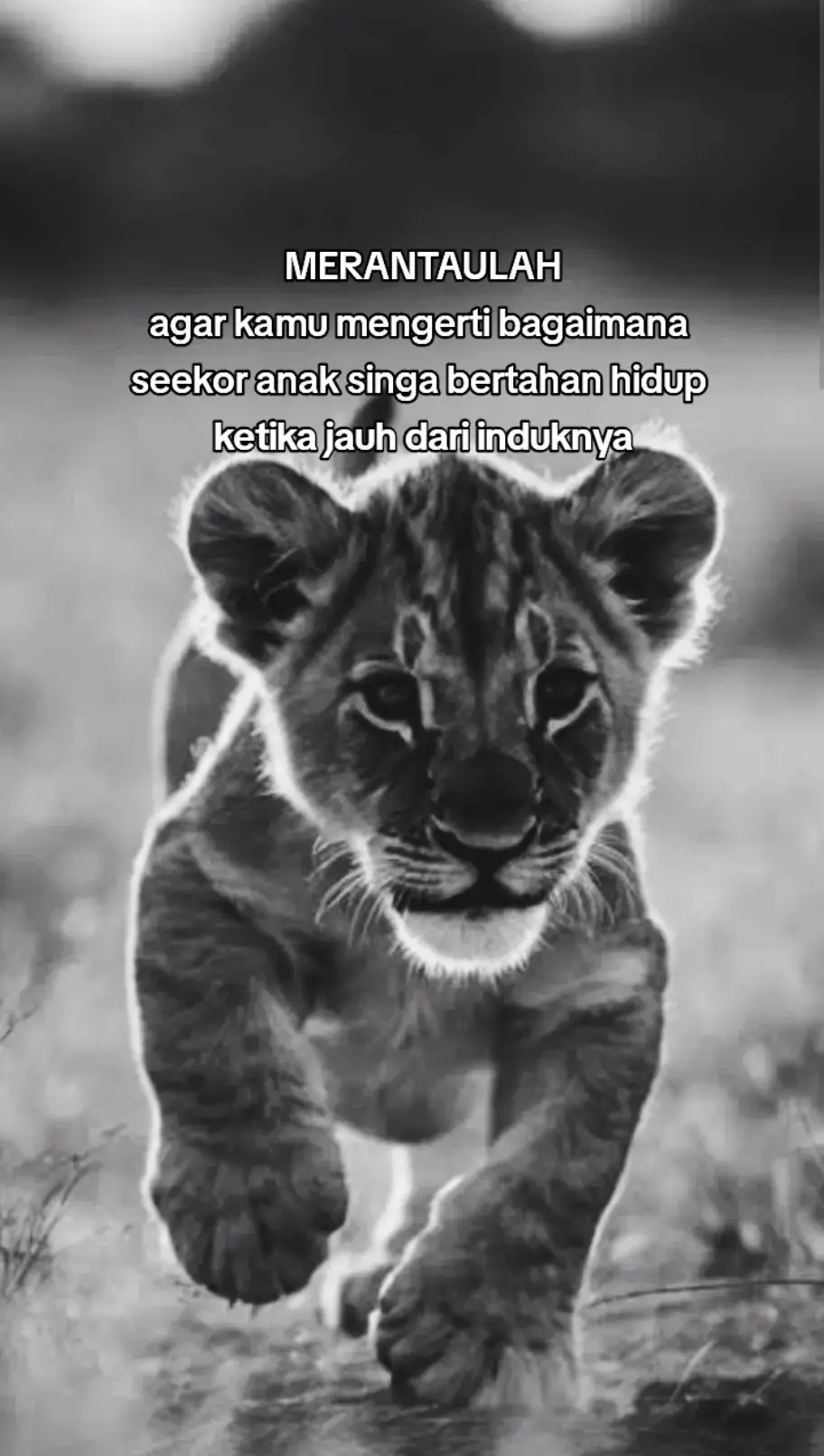 pengalaman pahit adalah guru terbaik 🔥 #perantau #pejuangkeluarga #pejuangrupiah #katakata #motivation #storytime #xybca 