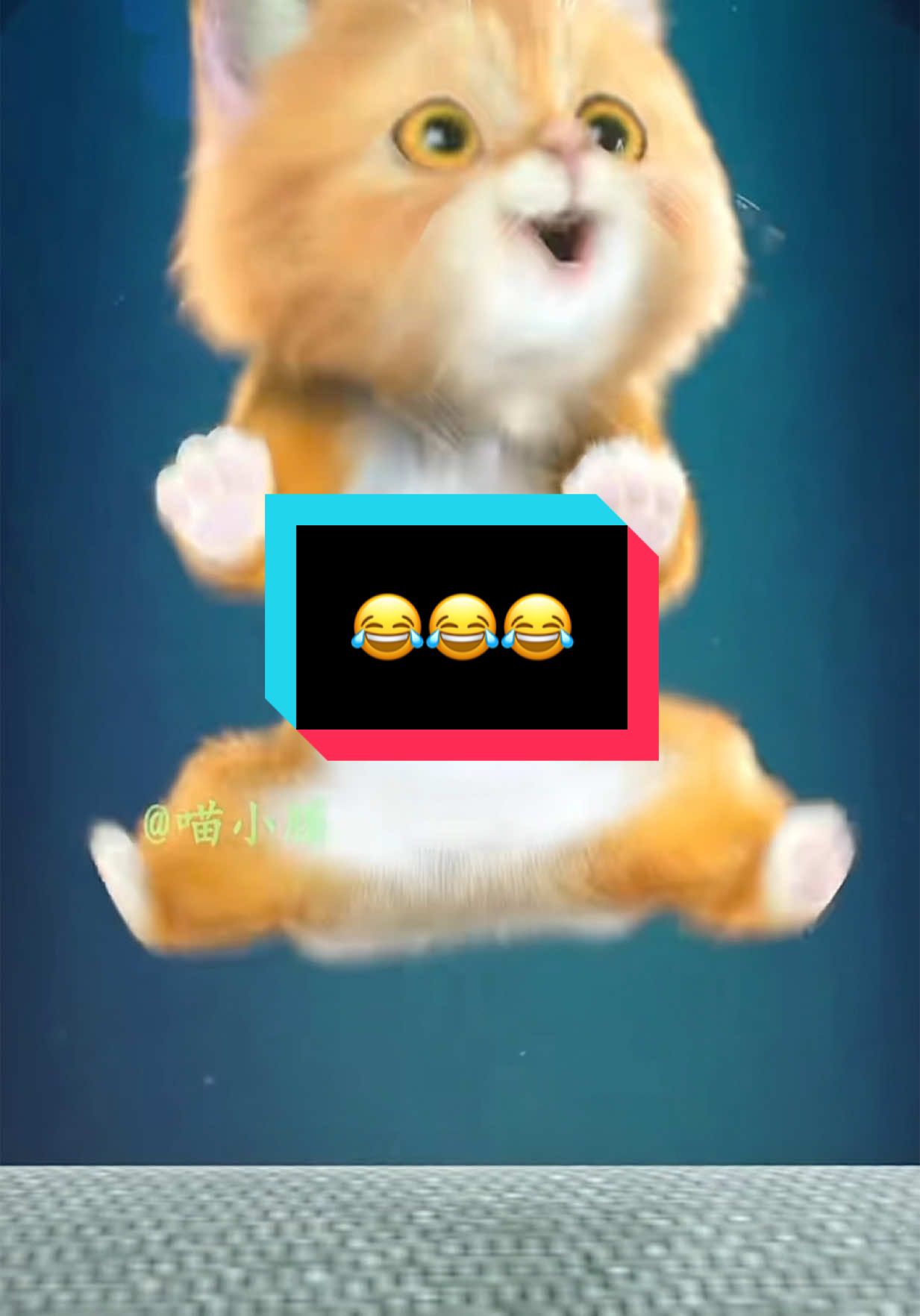 😂😂😂 #kidsoftiktok #kids #forkids #cartoon #kidscartoon #funnykids #funny #funnydance #truyenkechobe #truyenketruockhingu #funnycat #dancingcat #catdance #apt 