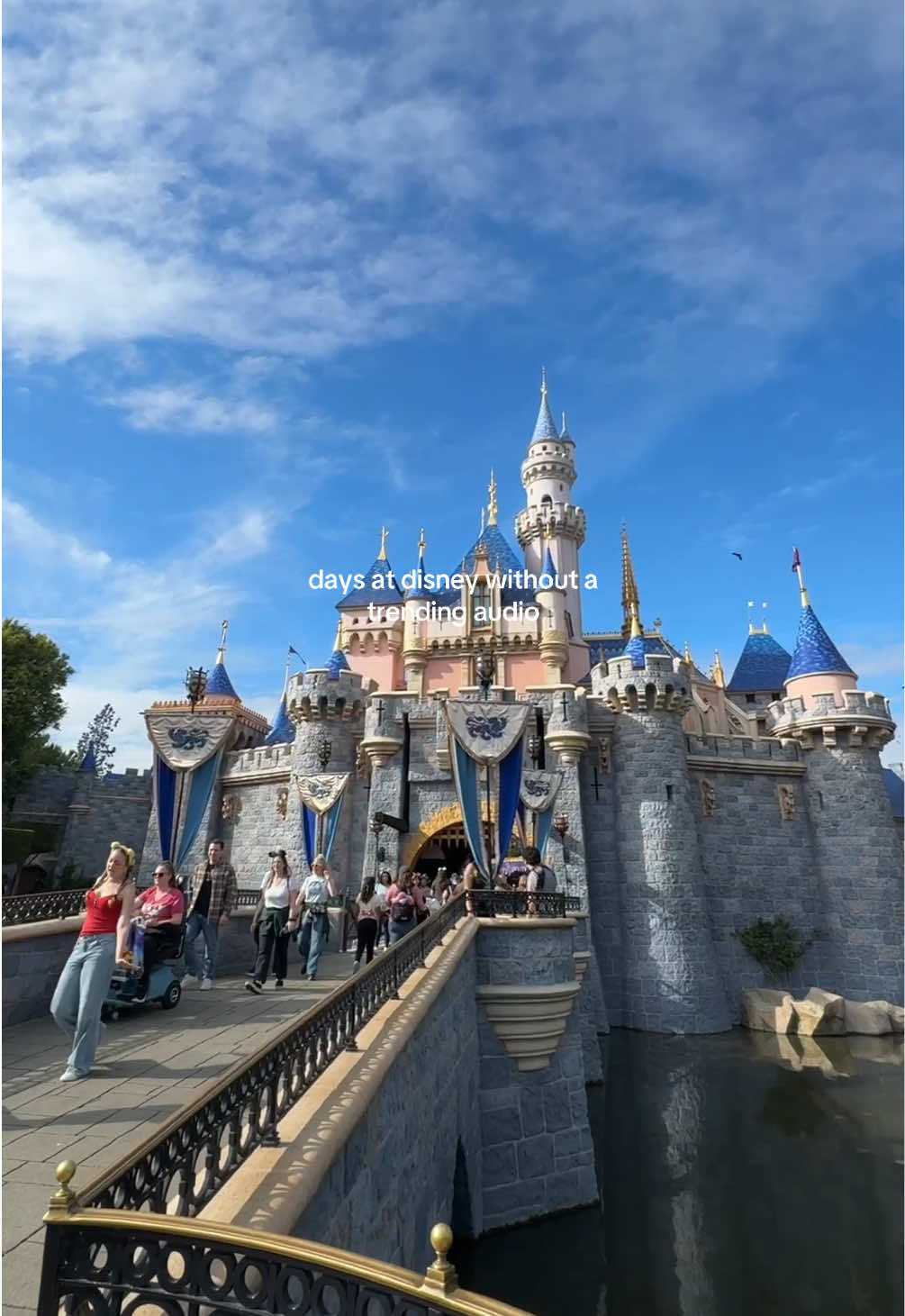 days at disney without a trending audio 🥹🫶🏼
