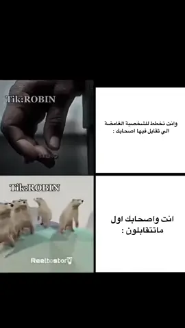 #fyp #رياكشنات #رياكشنات_روبن 