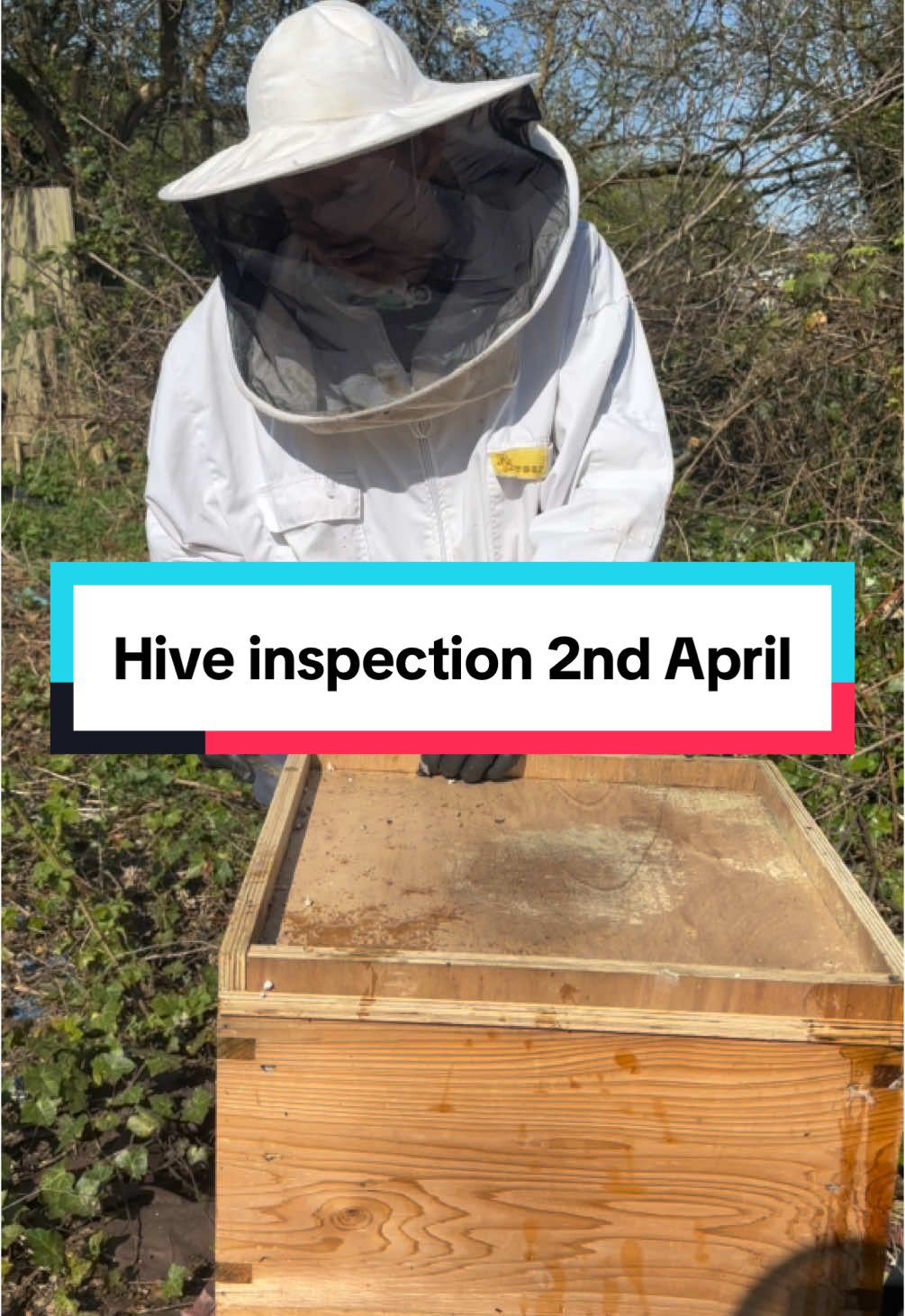 Join Gareth for a live hive inspection today #honeybees #honey #babybees 