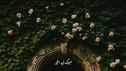 ومن إعتمد على عقله أختل 🥺🤍 مبروك ذيد الخير ❤️‍🩹🤍 صلي على الحبيب ❤🥀