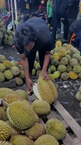 durian montong #fyppppppppppppppppppppppp #fypシ゚viral #lebaran #durian #fypage 
