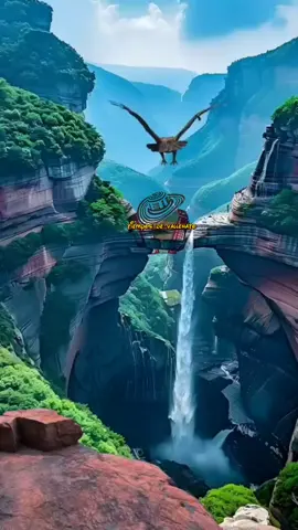 Diomedes Díaz -sin medir distancias 👏👏🪗🥃 #mivallenato #vallenatosbonitos #vallenatosviejitos #videosdevallenatos #vallenatosparaestados #vallenatosromanticos #vallenatosbonitosparasubiralestado #vallenatosbonitosparaestados #vallenatosdiario #vallenatos #algobonitoparaelestado 