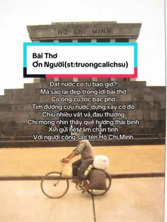 #viral #lichsuvietnam #xuhuongtiktok #vietnam #báchồkínhyêu 