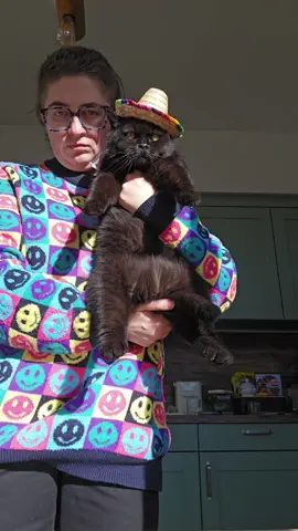 have a great day! #cat #blackcat 