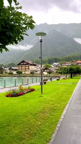 Beautiful Rainy day in swiss❤️🇨🇭🌧️ #rainyday #nature #travel #foryoupage❤️❤️ #swiss #swissnature #1millionaudition 