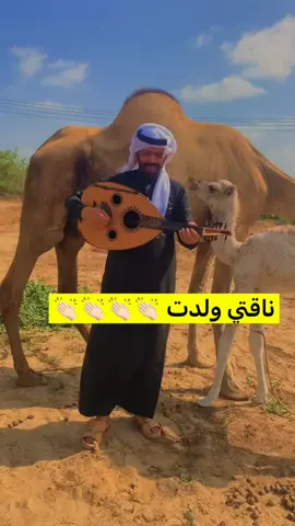 جازان # بيش # صبيا # صامطه # ابو عريش # الدرب 