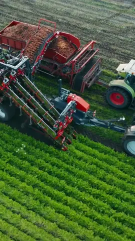 Esta es la cosechadora de zanahorias más avanzada del mundo. #agriculture #agricola #maquinariaagricola #technology