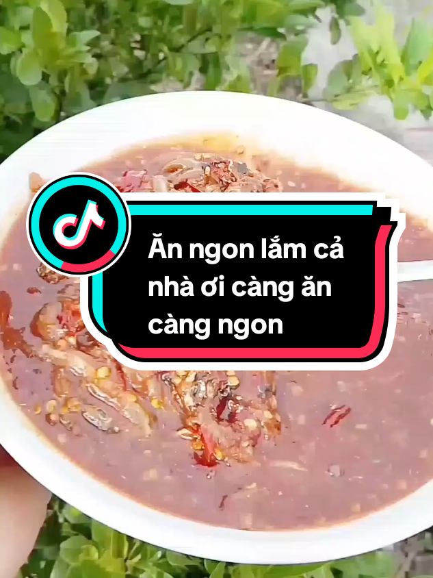 Mắm cá cơm nhà Thu ngân #mam #thamle2022 #cuocsongthuongngay 