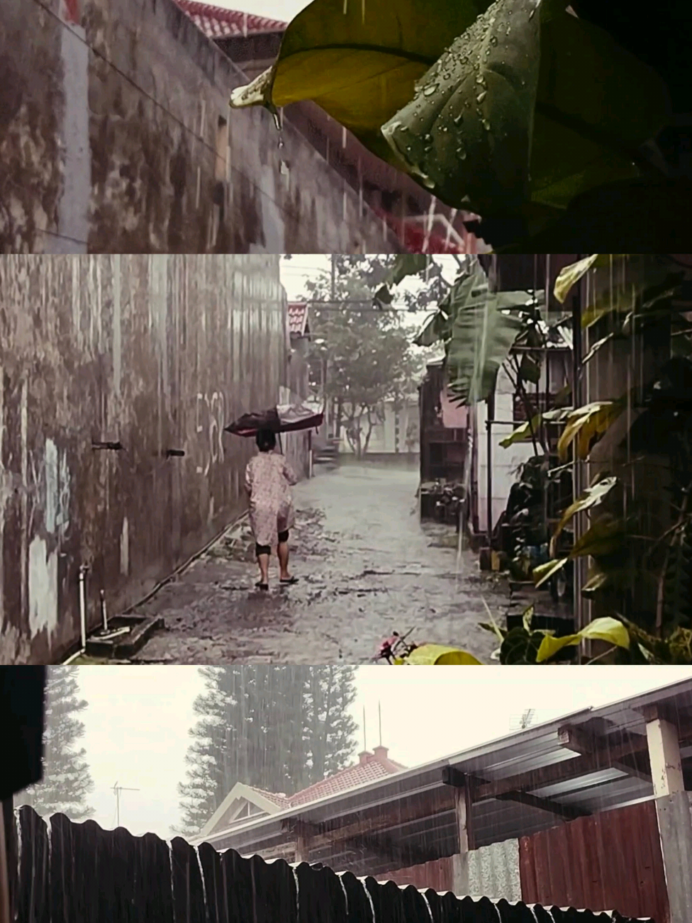 Rain makes everything cinematic🌧✨ #cinematic #cinematicvideo #videocinematic #videografi #videography #rainy #rain #fyppppppppppppppppppppppp #fypage #fyp #landscape #aesthetic #cinematography 